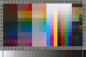 A calibrated IT-8 colour target which links to our scanning and photography for good colour management